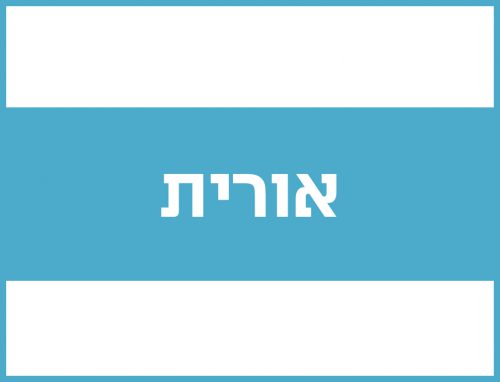 נוזל רב שימושי לניקוי שמשות וניקוי כללי